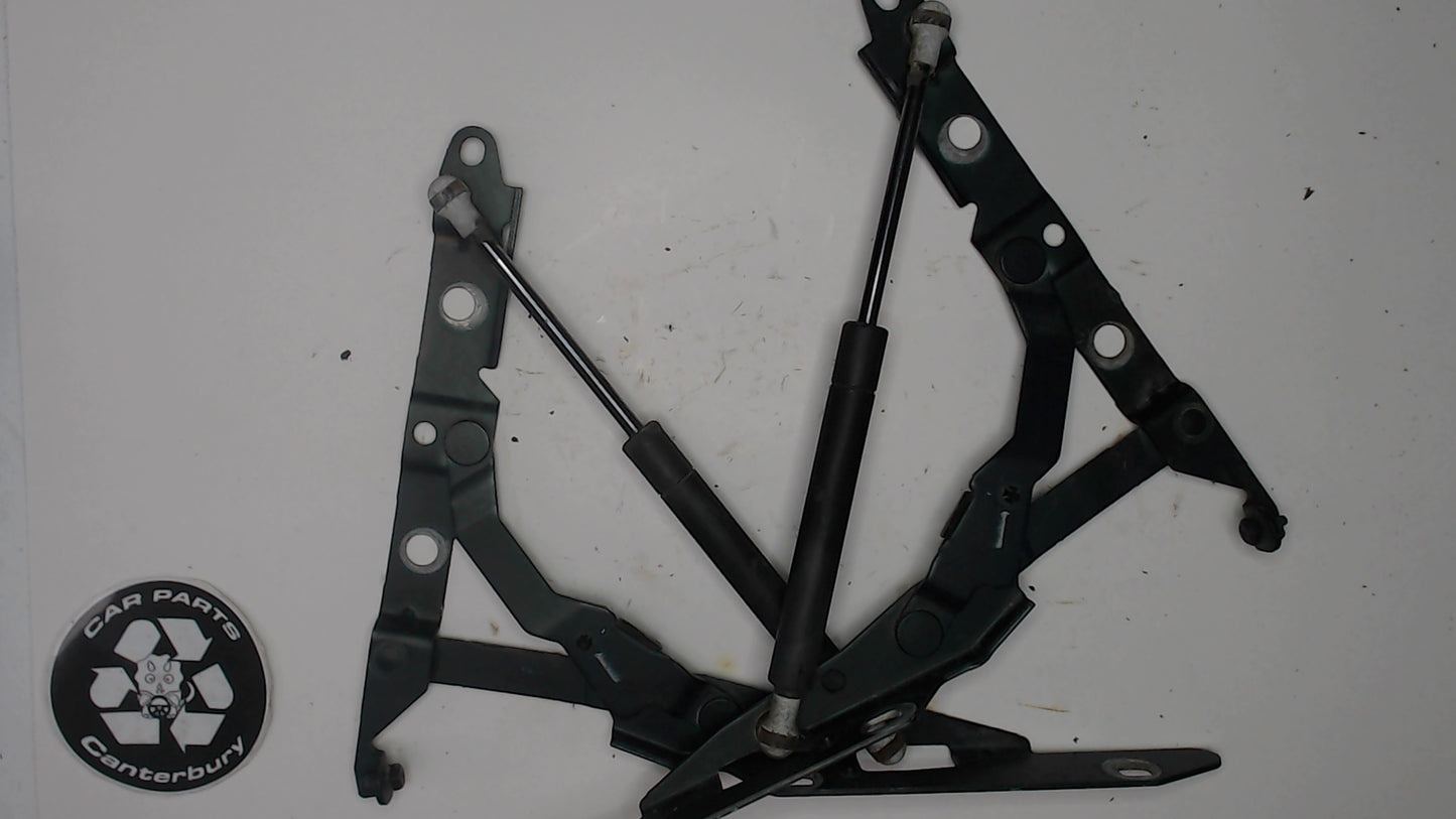 Boot Hinges w/ Gas struts