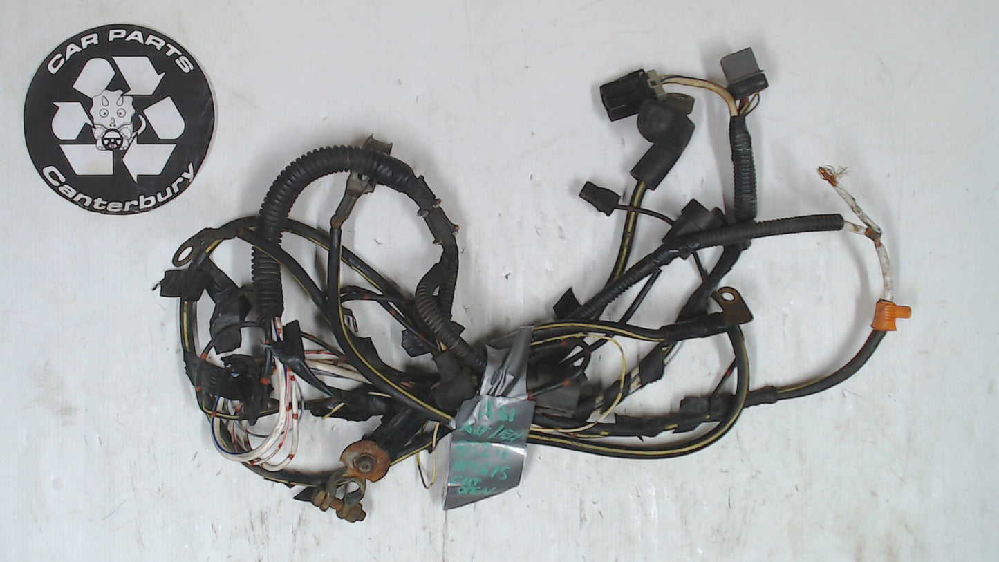 Loom - Alternator & Earth Straps