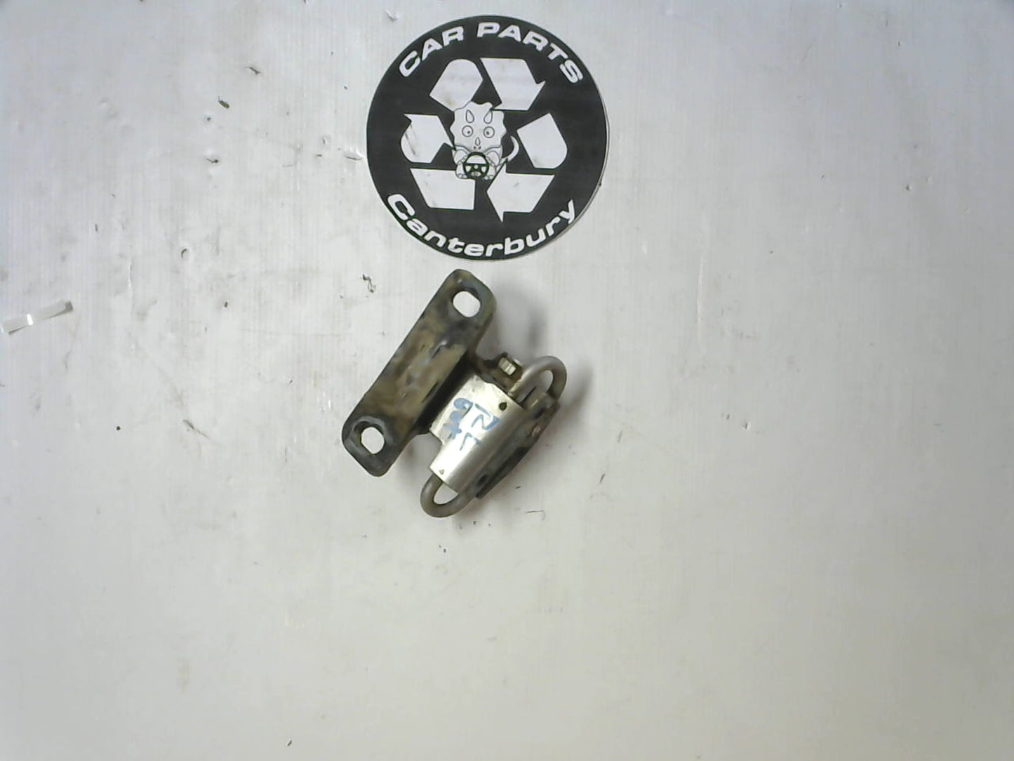 Door Hinge R/L Lower