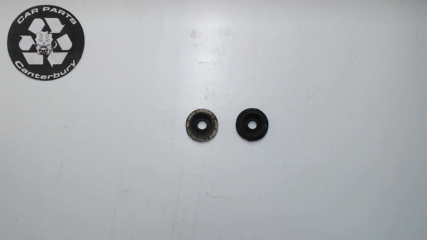 Radiator Mount Bushings - Lower