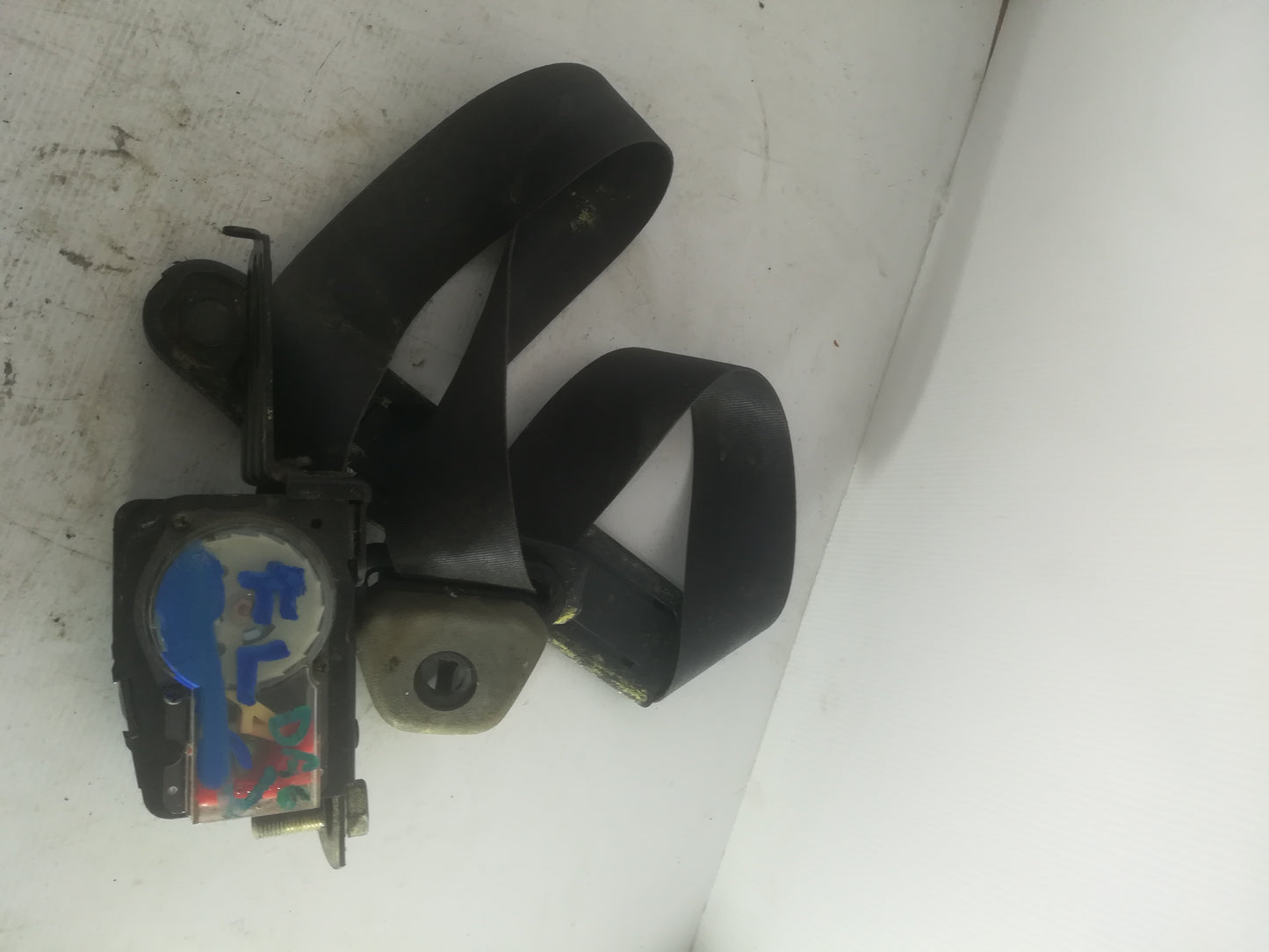 Seatbelt F/L