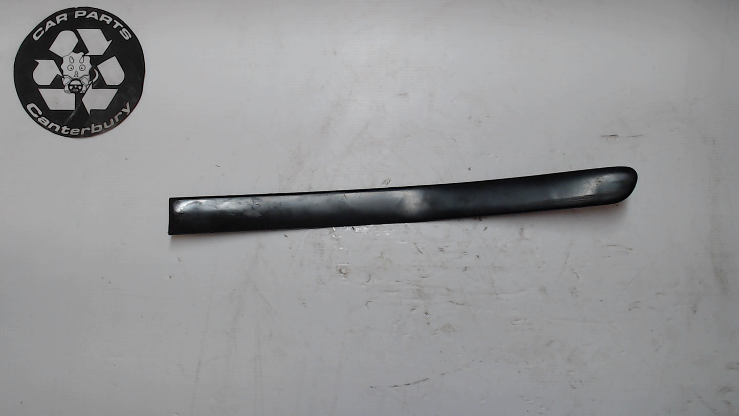 Body Moulding R/L